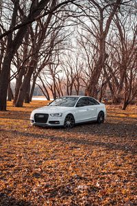 Preview wallpaper audi, car, white, trees