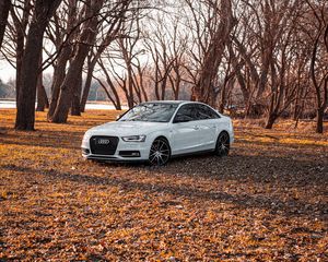 Preview wallpaper audi, car, white, trees