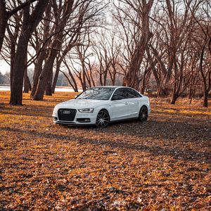 Preview wallpaper audi, car, white, trees