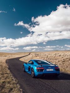 Preview wallpaper audi, r8, v10, side view, blue, road, grass