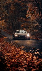 Preview wallpaper audi tt, audi, road, autumn, movement, asphalt