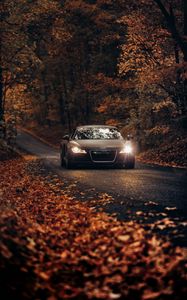 Preview wallpaper audi tt, audi, road, autumn, movement, asphalt