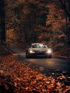 Preview wallpaper audi tt, audi, road, autumn, movement, asphalt