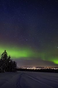 Preview wallpaper aurora borealis, snow, forest, stars, dark