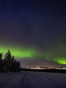 Preview wallpaper aurora borealis, snow, forest, stars, dark