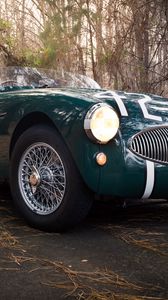 Preview wallpaper austin healey, 100s, green, front view