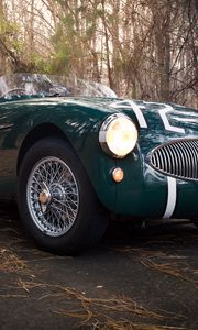 Preview wallpaper austin healey, 100s, green, front view