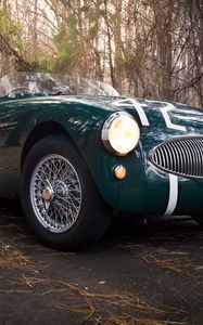 Preview wallpaper austin healey, 100s, green, front view