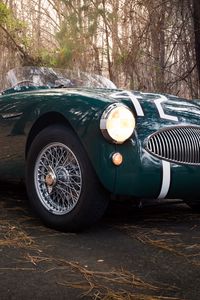 Preview wallpaper austin healey, 100s, green, front view