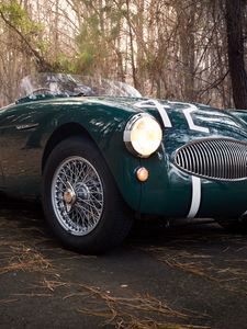 Preview wallpaper austin healey, 100s, green, front view