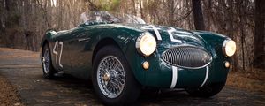 Preview wallpaper austin healey, 100s, green, front view