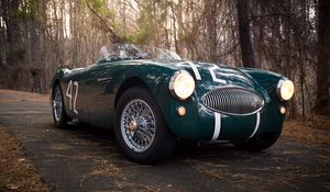 Preview wallpaper austin healey, 100s, green, front view