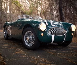 Preview wallpaper austin healey, 100s, green, front view