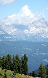 Preview wallpaper austria, alps, mountains, trees