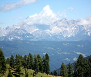 Preview wallpaper austria, alps, mountains, trees