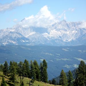 Preview wallpaper austria, alps, mountains, trees