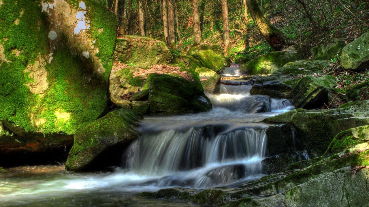 Wallpaper austria, klein-pyokhlarn, falls, vegetation, trees, stream
