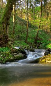 Preview wallpaper austria klein-pyokhlarn, falls, shadows, vegetation, gleams