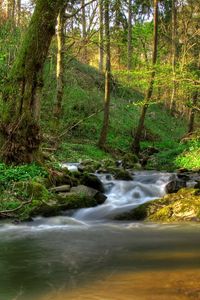 Preview wallpaper austria klein-pyokhlarn, falls, shadows, vegetation, gleams