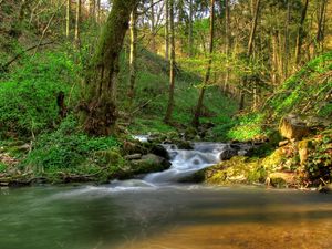 Preview wallpaper austria klein-pyokhlarn, falls, shadows, vegetation, gleams