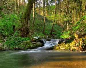 Preview wallpaper austria klein-pyokhlarn, falls, shadows, vegetation, gleams