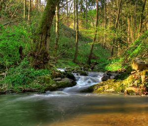 Preview wallpaper austria klein-pyokhlarn, falls, shadows, vegetation, gleams