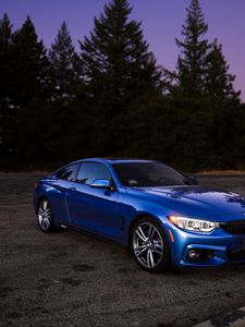 Preview wallpaper auto, blue, side view, trees