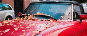 Preview wallpaper auto, red, side view, autumn, foliage