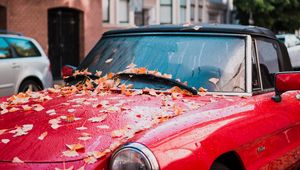 Preview wallpaper auto, red, side view, autumn, foliage