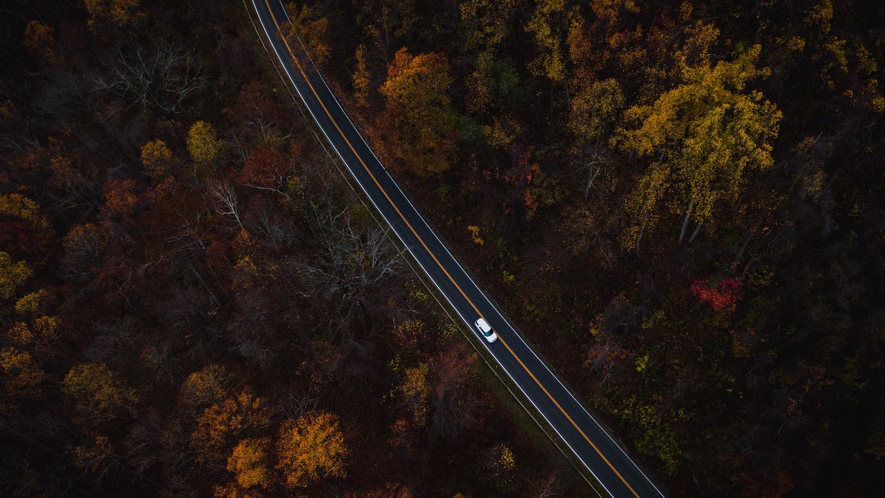Wallpaper auto, road, view from above, trees