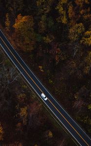 Preview wallpaper auto, road, view from above, trees