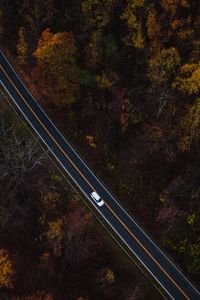 Preview wallpaper auto, road, view from above, trees