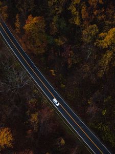 Preview wallpaper auto, road, view from above, trees