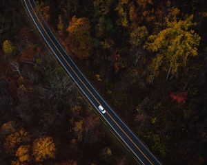 Preview wallpaper auto, road, view from above, trees