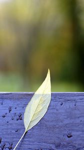 Preview wallpaper autumn, bench, leaves, yellow, drops