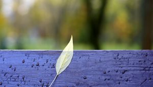 Preview wallpaper autumn, bench, leaves, yellow, drops