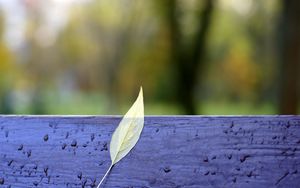 Preview wallpaper autumn, bench, leaves, yellow, drops