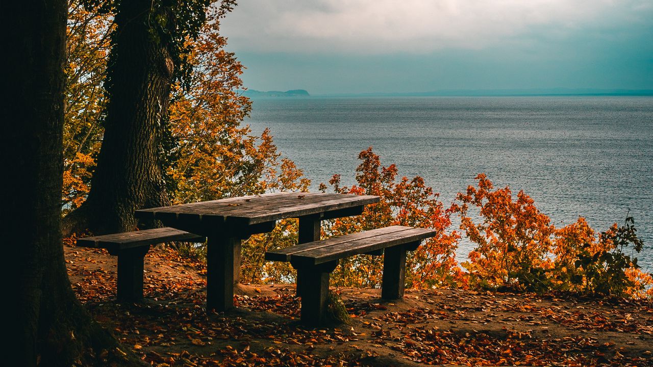 Wallpaper autumn, benches, table, sea, shore, trees, foliage