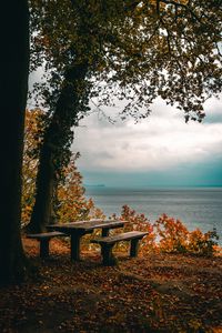 Preview wallpaper autumn, benches, table, sea, shore, trees, foliage