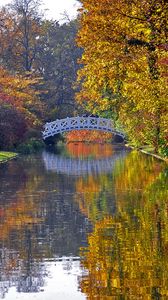 Preview wallpaper autumn, bridge, river, park, trees, reflection