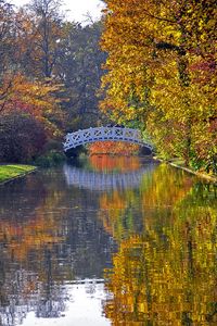 Preview wallpaper autumn, bridge, river, park, trees, reflection