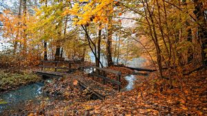 Preview wallpaper autumn, bridges, trees, wood, leaves, yellow, water