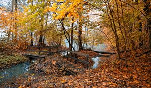 Preview wallpaper autumn, bridges, trees, wood, leaves, yellow, water