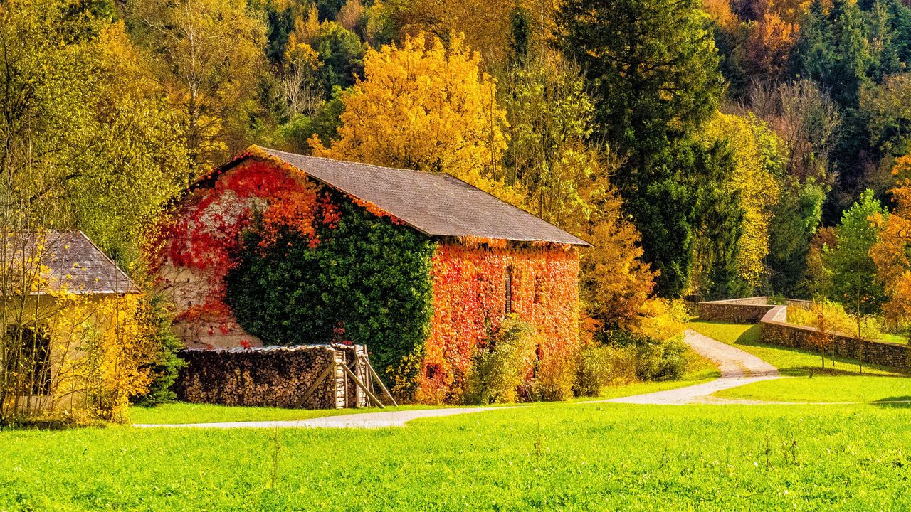 Wallpaper autumn, building, grass, trees