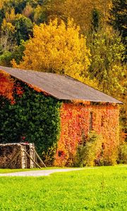 Preview wallpaper autumn, building, grass, trees