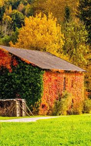 Preview wallpaper autumn, building, grass, trees