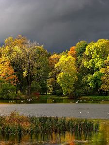 Preview wallpaper autumn, clouds, pond, seagulls, landscape