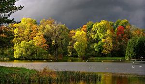 Preview wallpaper autumn, clouds, pond, seagulls, landscape