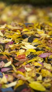 Preview wallpaper autumn, fallen leaves, bench, park, yellow