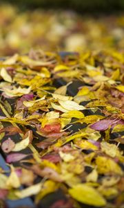 Preview wallpaper autumn, fallen leaves, bench, park, yellow